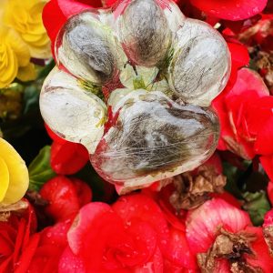 Porte clef Bonheur en patte- personnalisable